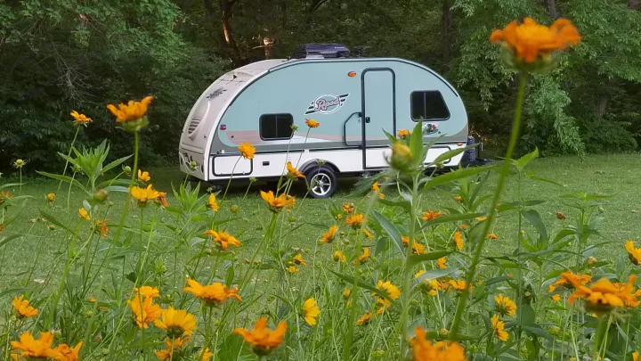 Wild flowers not included. Forest River R-Pod 2017