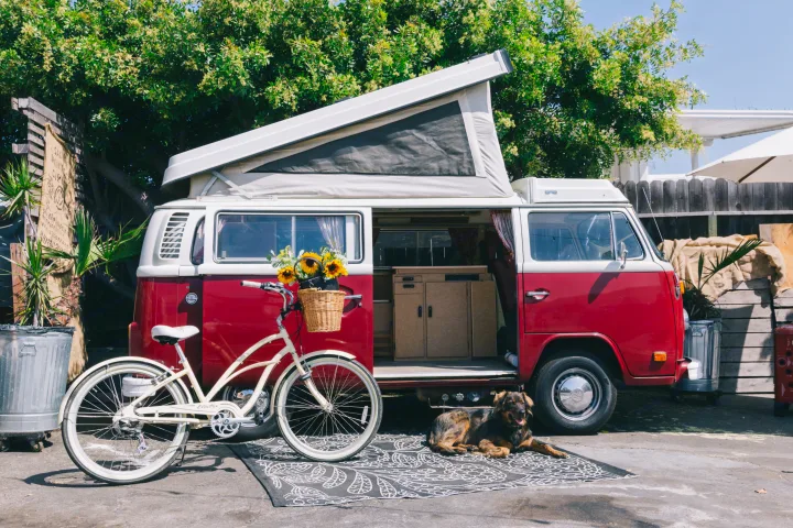 Sunny scene with a red and white pop-top VW camper van (RV rental) open to reveal interior, plus a bicycle with flowers, and a dog on a rug.. Volkswagen Westfalia 1978