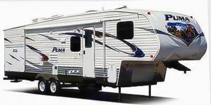 Palomino Puma 2010