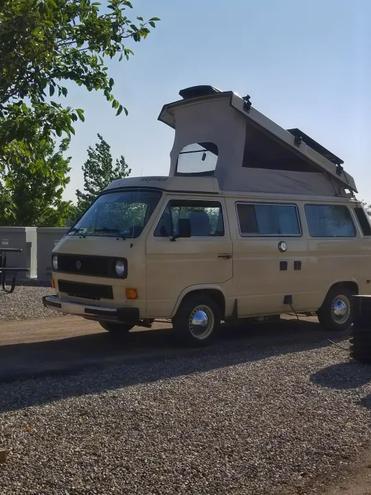 A beige VW Westfalia pop-top camper van, ideal for your next **rv rental** adventure, parked on a sunny campsite.. Volkswagen Westfalia 1982