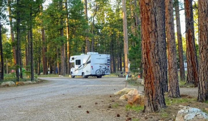 White Leprechaun RV rental with bikes parked on a gravel road, surrounded by a dense pine forest campground.. Forest River Coachmen Leprechaun 2014