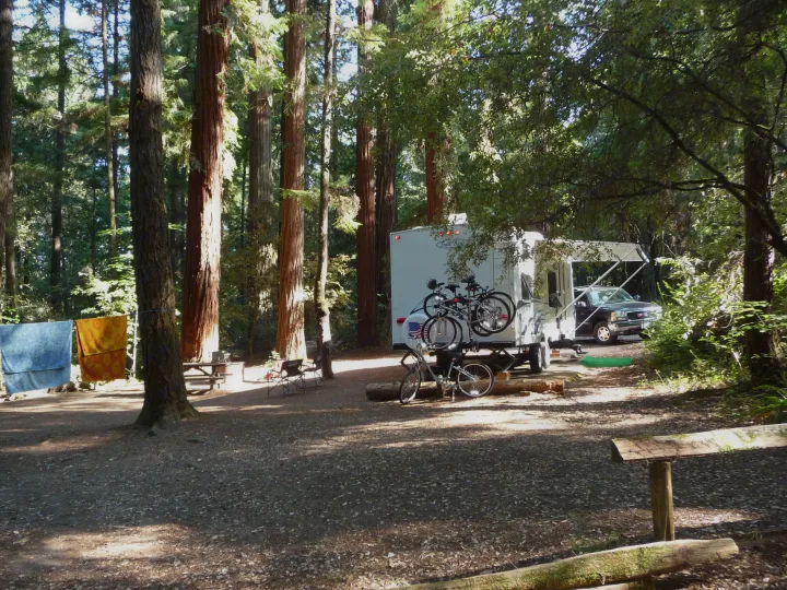 California Redwoods, Richardson Grove State Park. R-Vision 26qbs 2004