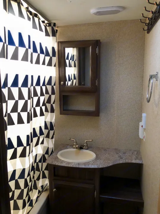 Compact RV rental bathroom: patterned shower curtain, sink vanity, medicine cabinet, and wall hooks provide amenities.. Coachmen Apex 2018