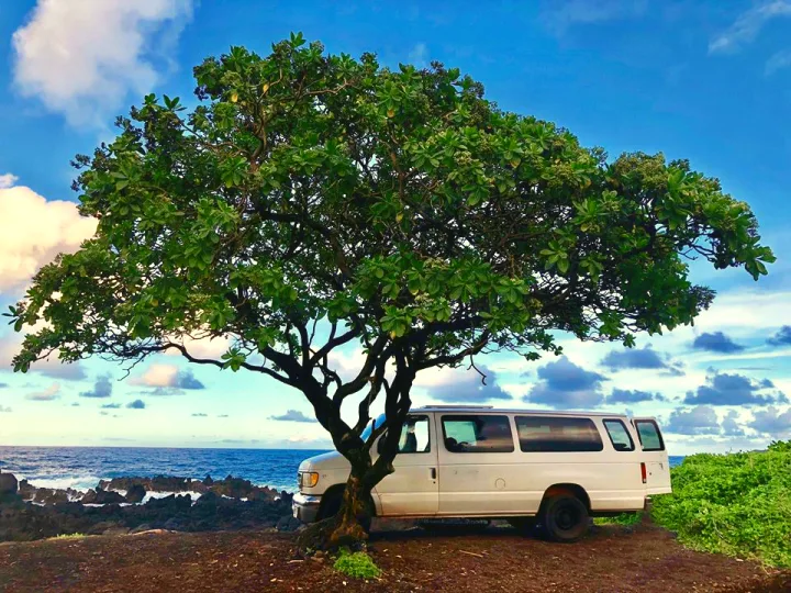 Ford Econoline 1998