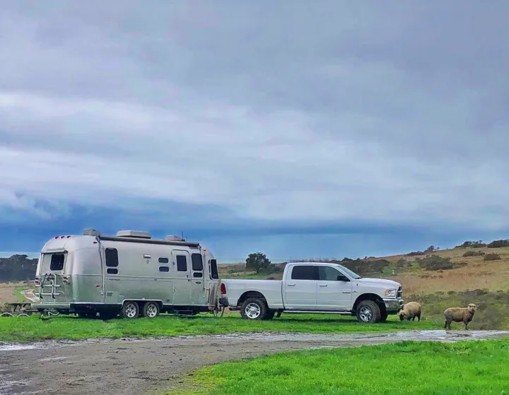 A classic Airstream RV rental & truck parked in a muddy field, two sheep nearby, under a cloudy coastal sky.. Airstream Safari 2008