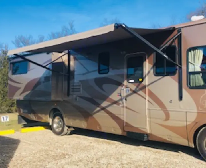 Dolphin LX 2005