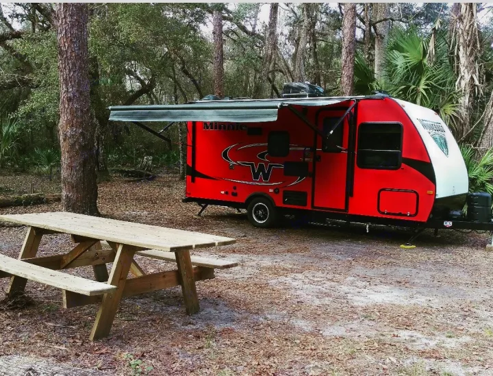 Winnebago Micro Minnie 2018