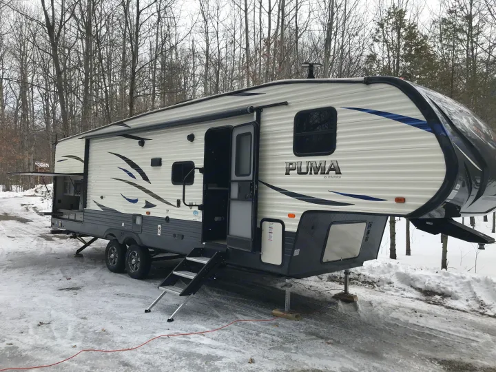 Palomino Puma 2019