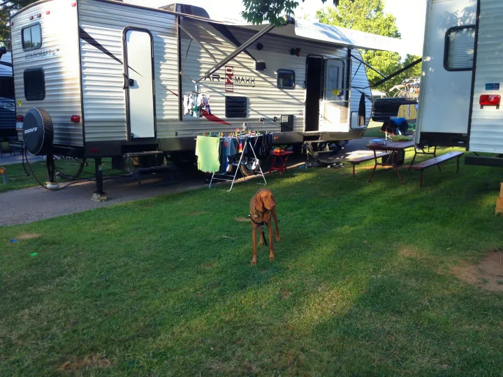 A brown dog surveys a sunny RV rental campsite with a travel trailer, an open door, and clothes drying on a rack.. Starcraft Ar-One MAXX 2016