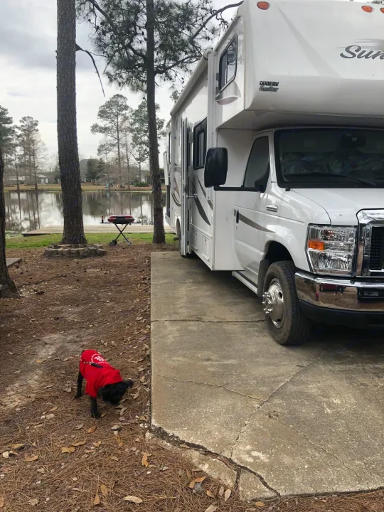 This was our second trip to Holbrook park and we loved being right next to the river. . Forest River Sunseeker 2013