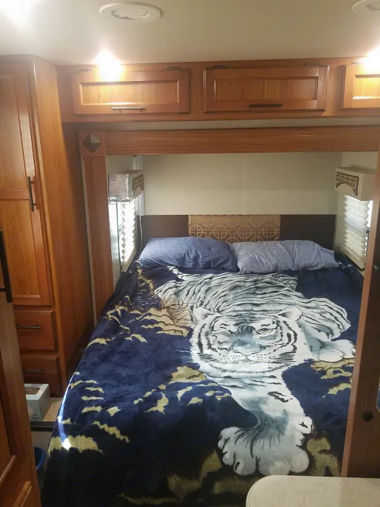RV rental bedroom: a bed with a striking white tiger blanket, warm wooden cabinetry, and window blinds. Compact & inviting interior.. Jayco Melbourne 2017