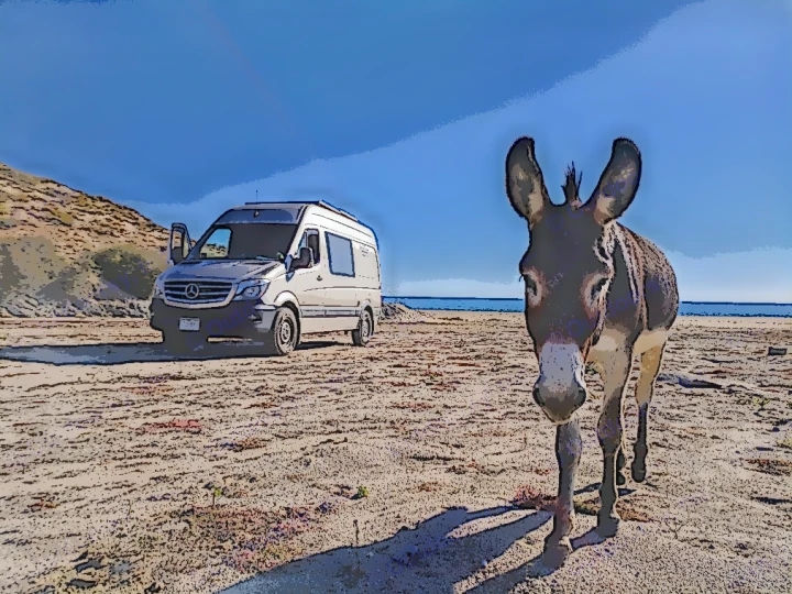 The Green Man's friend in Cabo Pulmo. Mercedes-Benz Sprinter 2015