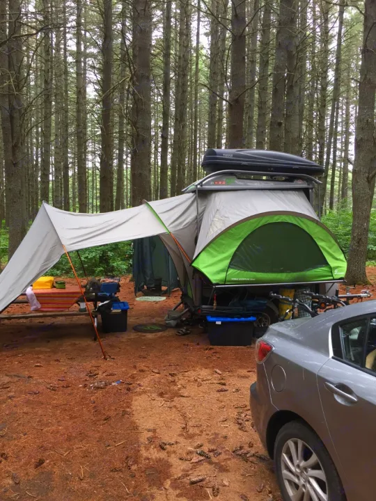 Sylvansport GO 2019