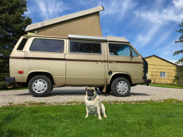 Tan VW Vanagon pop-top camper RV, perfect for an RV rental, parked on gravel with a cute pug in the grass.. Volkswagen Vanagon Westfalia 1985