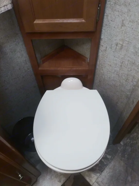 The full sized Throne. Coachmen Leprechaun 2018