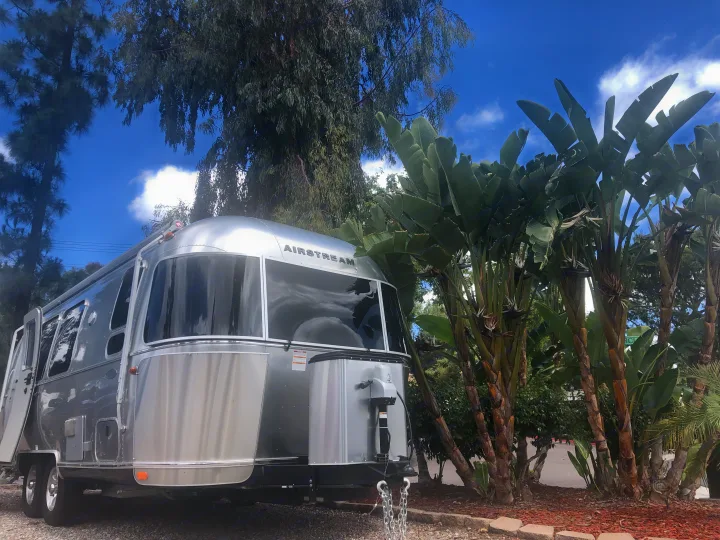 Platinum palm trees!. Airstream Flying Cloud 2019