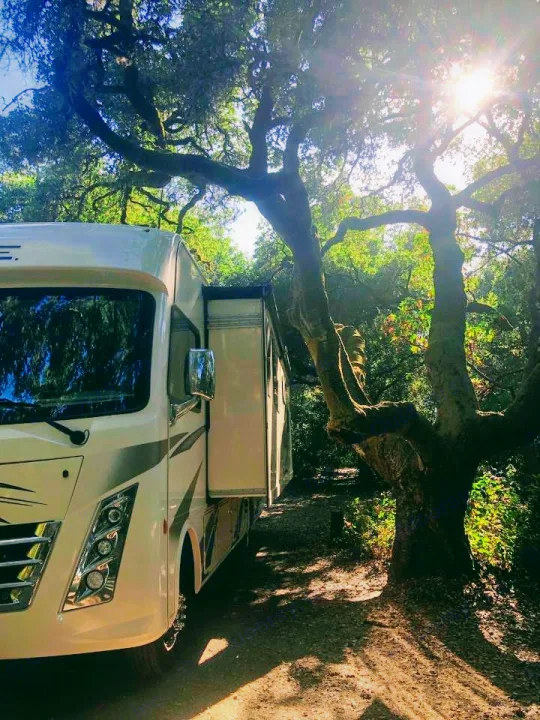 Sunny RV rental adventure awaits! A white motorhome with a slide-out extended is parked under large, sun-dappled trees.. Thor Motor Coach A.C.E 2019