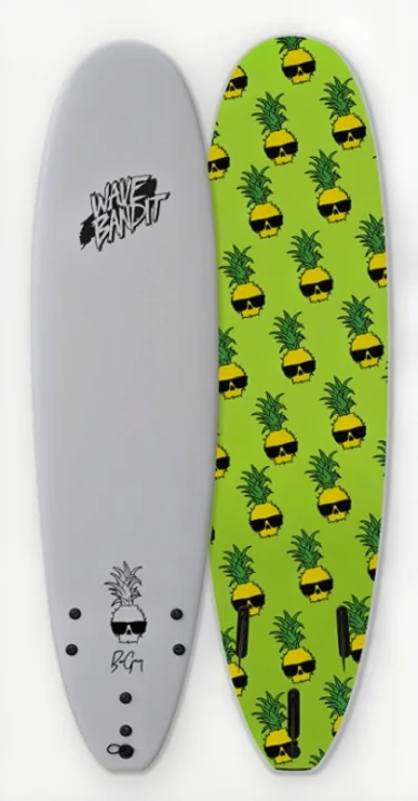 Catch Surf SurfBoard 2019