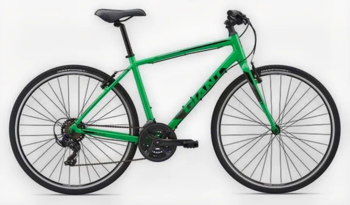 Giant Bicycle 2018