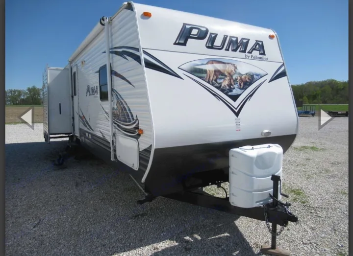 Palomino Puma 2015