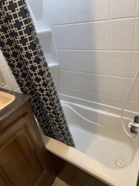 This RV rental's bathroom includes a compact white shower/tub, a black geometric curtain, and a nearby vanity.. Coachmen Freedom Express - Liberty Edition 2017