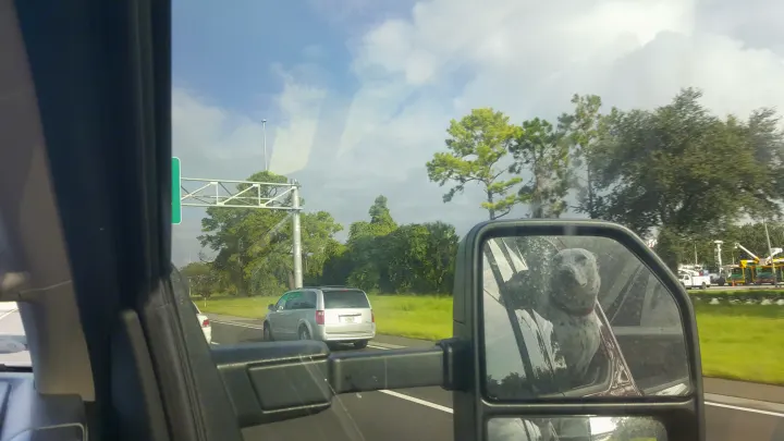 Grand Design Reflection 2018