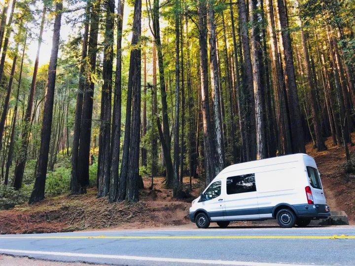 White RV rental parked beside a road, surrounded by towering redwood trees bathed in sunlight.. Ford Transit 2015