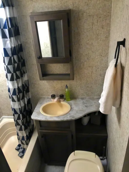 Step into this tidy RV rental bathroom, complete with a sink, mirror, toilet, and patterned shower curtain.. Coachmen Apex Nano 2019