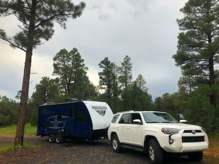 Winnebago Micro Minnie 2018