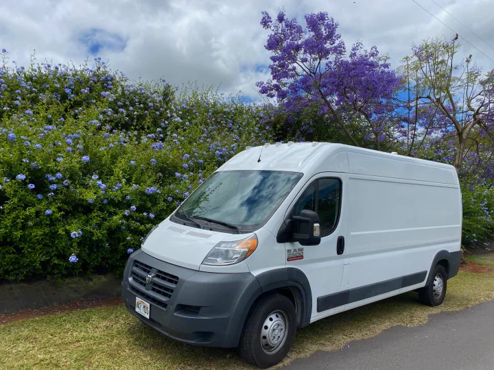 White Ram ProMaster van for rv rental, parked by blue flowers & purple trees under cloudy sky.. Dodge Sprinter 2500 170ext 2015