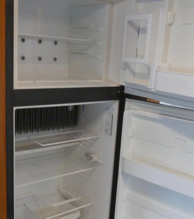 Clean Fridge! :). Thor Majestic 2015