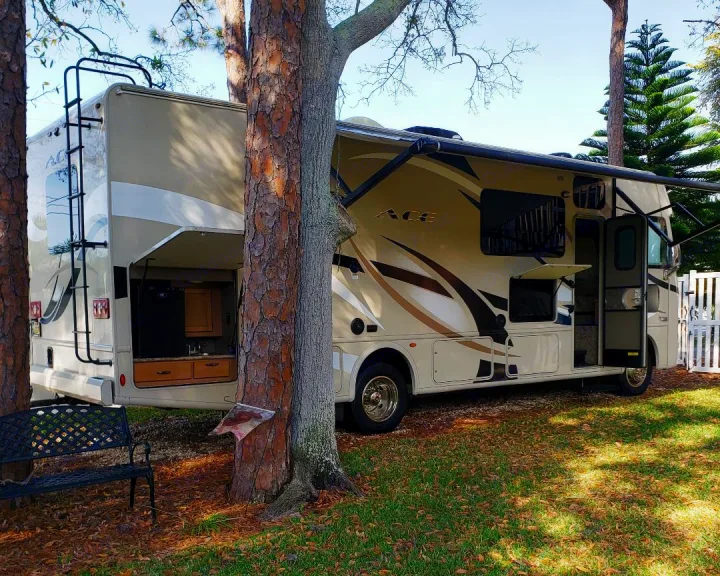 Thor Motor Coach A.C.E 2017
