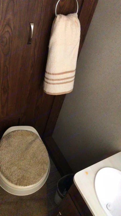 Cozy RV rental bathroom: features toilet with fuzzy cover, towel, and sink. Efficient space for travel.. Forest River Rockwood 2018