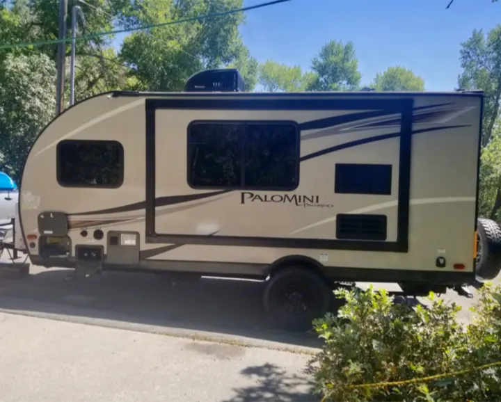 Palomino Palomini 2018