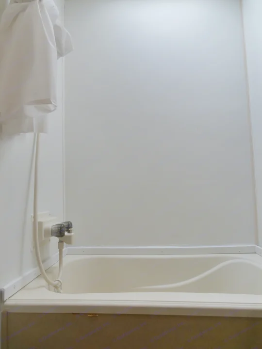 This RV rental's compact bathroom features a beige tub, white walls, and a hanging shower curtain with faucet.. Gulf Stream Innsbruck 2016