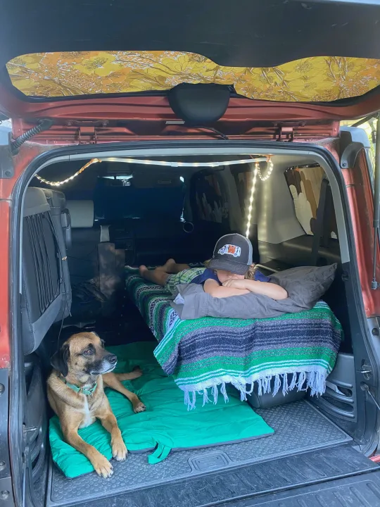 Cozy RV rental interior: A child sleeps on a bed, dog rests below. String lights & patterned fabric create a unique car camping space.. Honda Element 2005