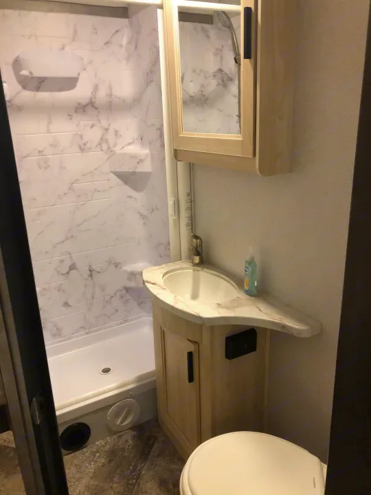 Bathroom. Forest River Sunseeker 2020