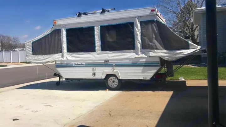 Palomino Other 1995