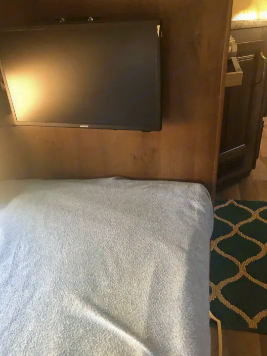 Cozy rv rental interior: light blue bed, mounted TV, wood paneling, and patterned rug for compact living.. Jayco Greyhawk 2019