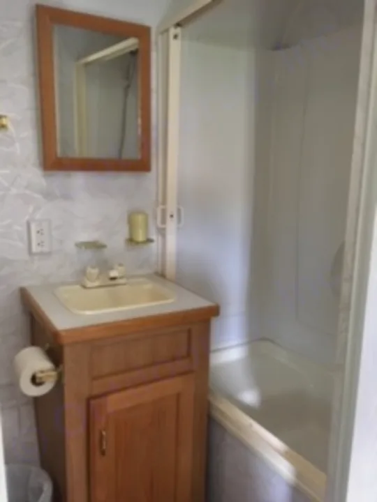 RV rental bathroom interior shows a wooden vanity with sink, cabinet, & toilet paper holder, plus a mirror and outlets.. Electra Electra 1996