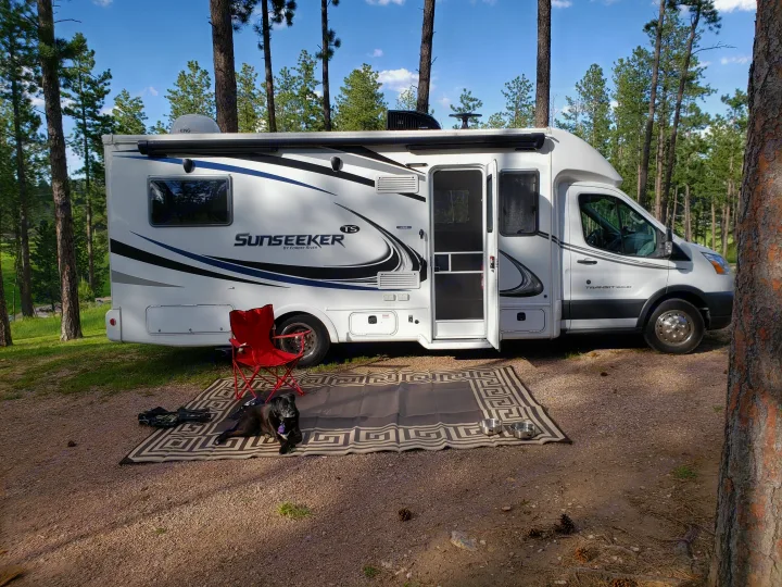 Forest River Sunseeker 2019