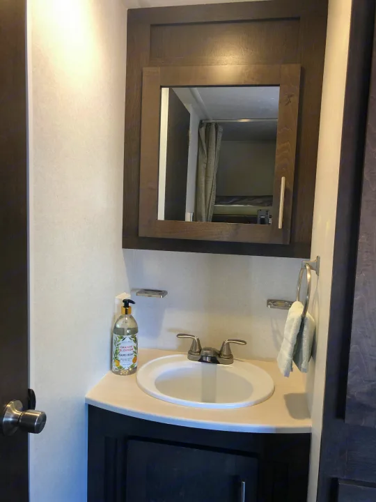 Compact RV rental bathroom featuring a vanity with sink, faucet, soap, and mirrored medicine cabinet. A towel hangs from a ring.. Forest River Evo 2019