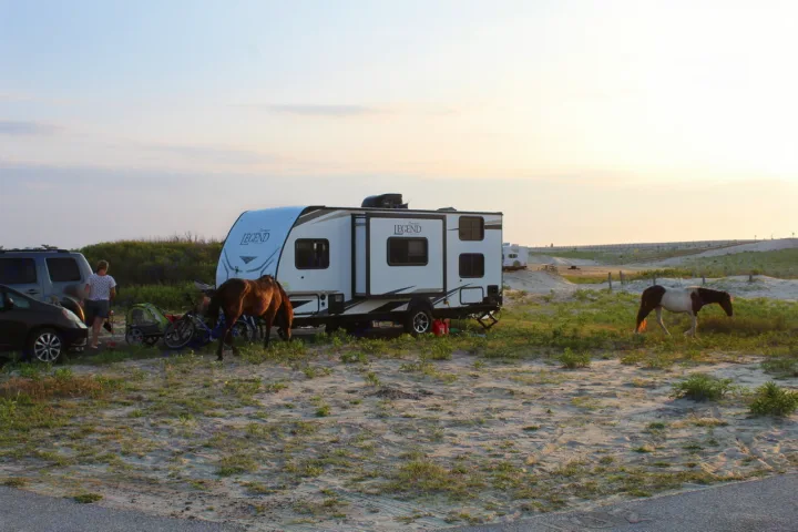 AssateagueStatePark,Maryland. ForestRiver Surveyor 2019