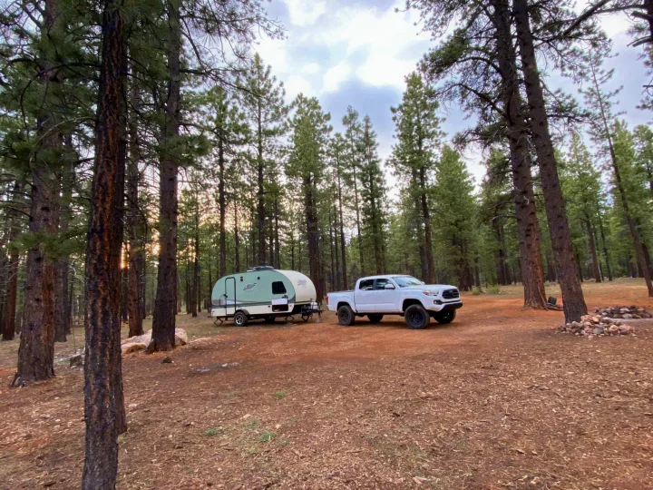 Forest River Other 2015