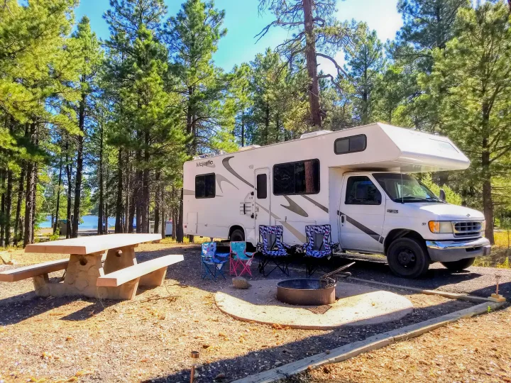 Thor Motor Coach Four Winds Majestic 2001