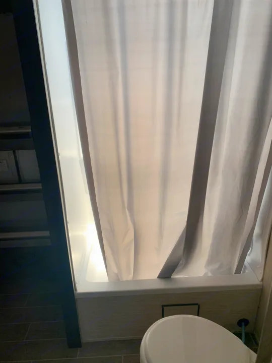 RV rental: A bright, compact bathroom showing a shower with a drawn curtain, small tub, and part of a toilet.. Forest River Other 2020