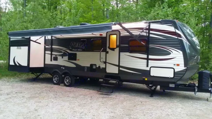 Palomino Puma 2016