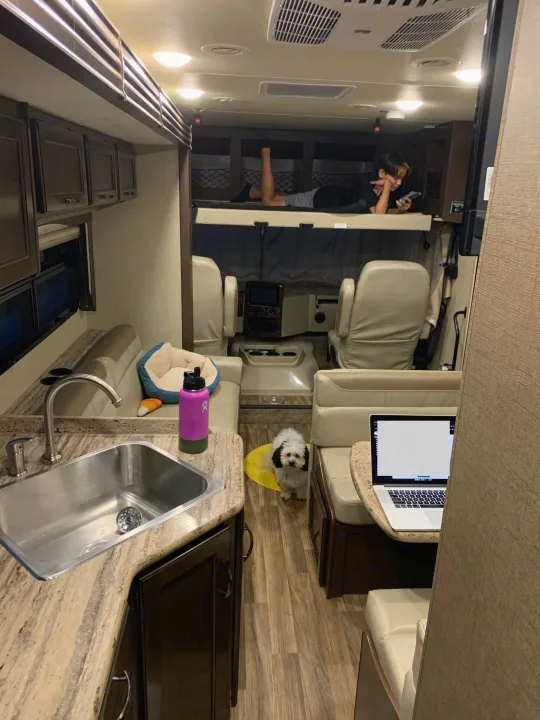RV rental interior: person on bunk, dog, kitchen sink, laptop. A cozy mobile home setup.. Thor Motor Coach A.C.E 2020