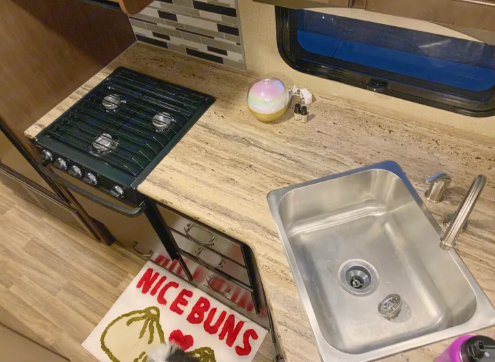 RV rental kitchen featuring a compact stove, stainless steel sink, patterned countertop, and a humorous 'NICE BUNS' mat.. Thor Motor Coach A.C.E 2020