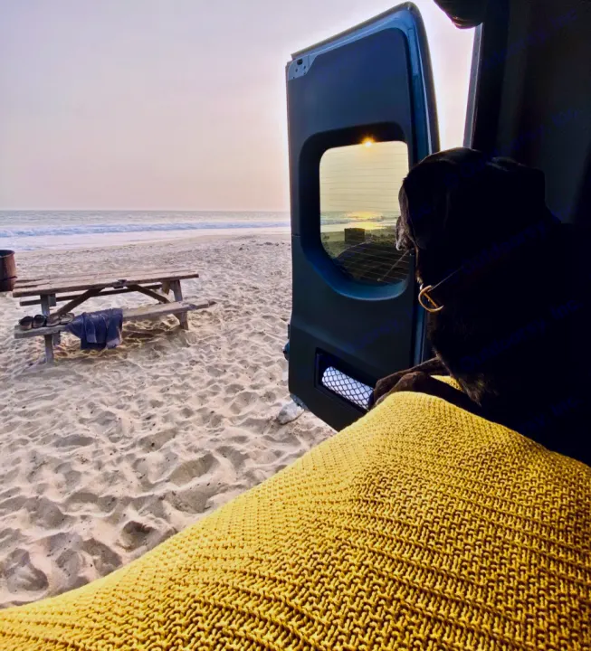 A black dog looks out the back of an RV rental at a sandy beach with a picnic table and ocean waves at sunset.. Winnebago Revel 2021